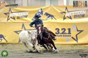 Western Show Cremona 2024 1