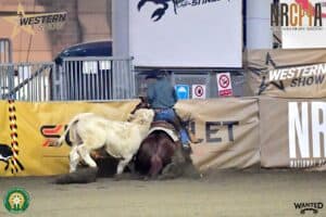 Western Show Cremona 2024 2