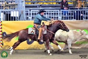 Western Show Cremona 2024 3