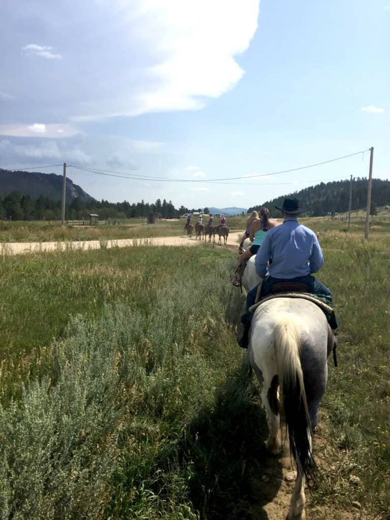 Passeggiate a cavallo